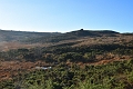 29 12 16_4941_edited-1